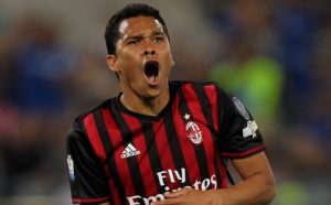 bacca