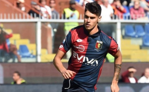 pellegri